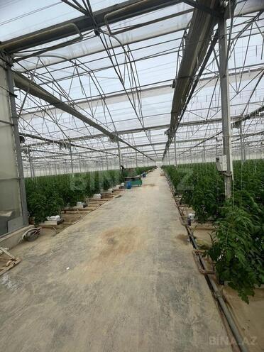 Продаётся  объект 25 000 м², пос. Мамедли, photo 8 from 10