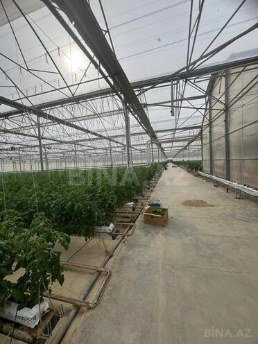 Продаётся  объект 25 000 м², пос. Мамедли, photo 6 from 10