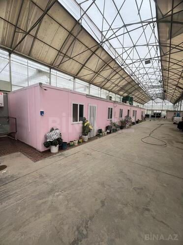 Продаётся  объект 25 000 м², пос. Мамедли, photo 3 from 10