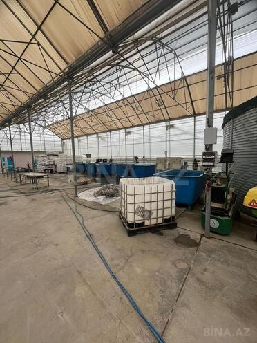 Продаётся  объект 25 000 м², пос. Мамедли, photo 9 from 10