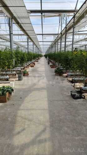 Продаётся  объект 35 000 м², пос. Масазыр, photo 3 from 8