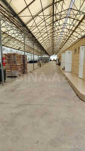 Продаётся  объект 35 000 м², пос. Масазыр, photo 6 from 8