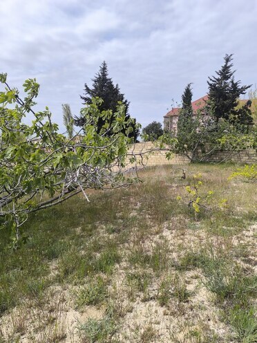 Продаётся  участок 4 сот, пос. Новханы, photo 7 from 11