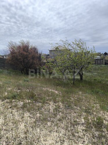 Продаётся  участок 2 сот, пос. Новханы, photo 7 from 12