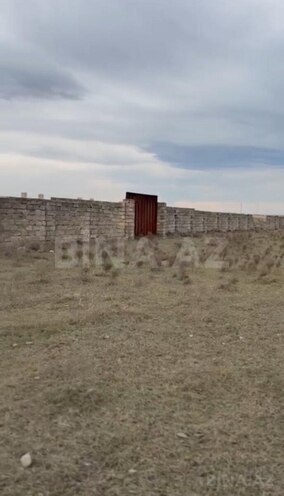 Продаётся  участок 100 сот, Абшеронcкий  р., photo 1 from 7
