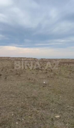 Продаётся  участок 100 сот, Абшеронcкий  р., photo 6 from 7