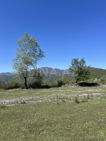 Продаётся  участок 75 сот, photo 14 from 16