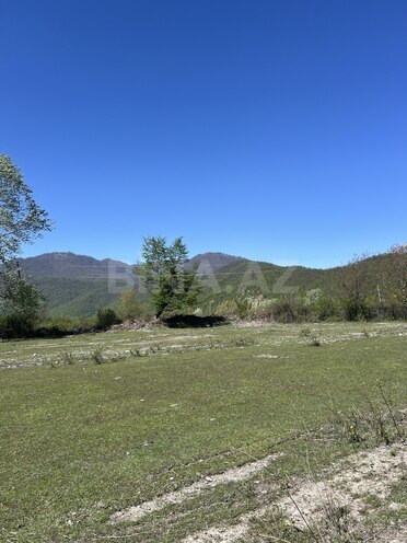 Продаётся  участок 75 сот, photo 5 from 16