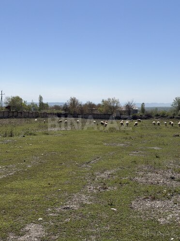 Продаётся  участок 75 сот, photo 9 from 16