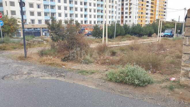 Продаётся  участок 35 сот, пос. Сарай, photo 8 from 11