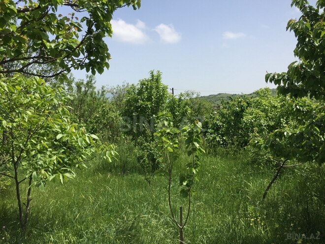 Продаётся 3-комн. дом/дача 70 м², photo 14 from 19