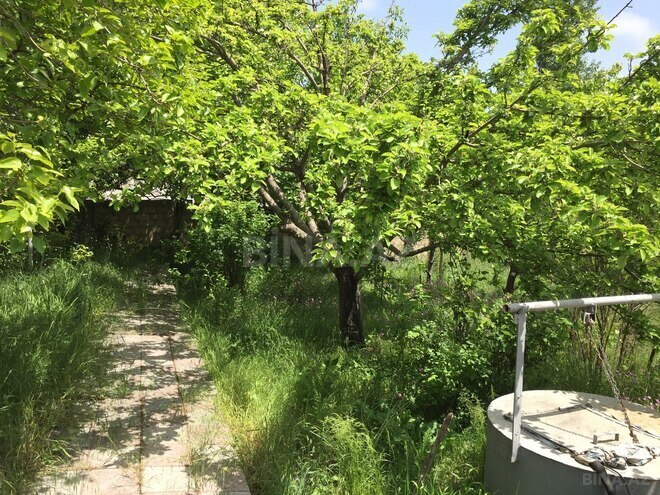Продаётся 3-комн. дом/дача 70 м², photo 17 from 19