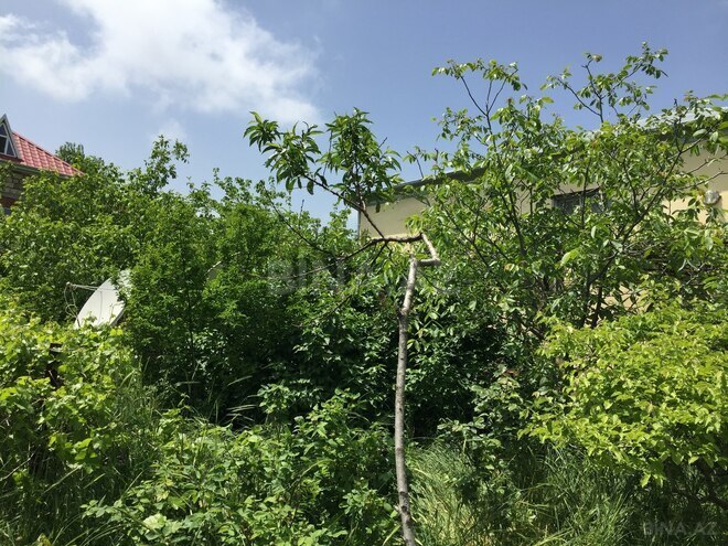 Продаётся 3-комн. дом/дача 70 м², photo 16 from 19