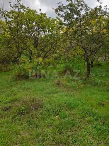 Продаётся 3-комн. дом/дача 70 м², photo 11 from 19