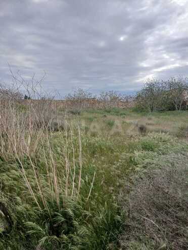 Satılır  torpaq 14 sot, Nardaran q., photo 4 from 7