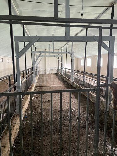 Satılır 8 otaqlı həyət evi/bağ evi 700 m², Abşeron r., photo 10 from 11