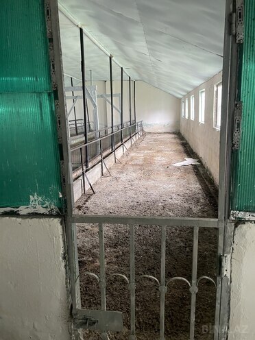 Satılır 8 otaqlı həyət evi/bağ evi 700 m², Abşeron r., photo 7 from 11