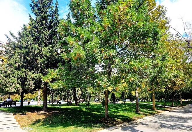 Satılır 4 otaqlı yeni tikili 180 m², Nəsimi r., photo 7 from 10