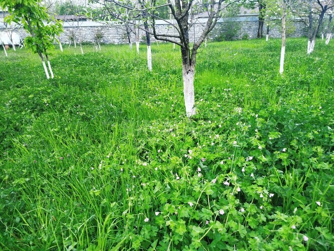 Продаётся  участок 5 сот, photo 7 from 8