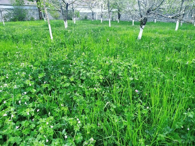 Продаётся  участок 5 сот, photo 1 from 8