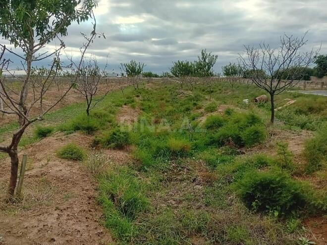 Продаётся  участок 130 сот, пос. Бузовна, photo 10 from 15