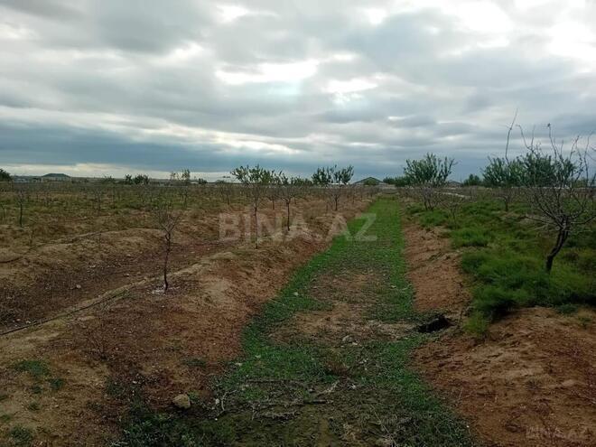 Продаётся  участок 130 сот, пос. Бузовна, photo 7 from 15
