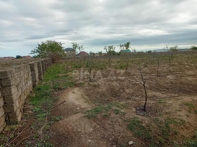 Продаётся  участок 130 сот, пос. Бузовна, photo 12 from 15