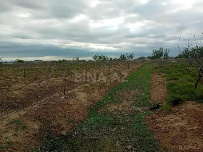 Продаётся  участок 130 сот, пос. Бузовна, photo 11 from 15