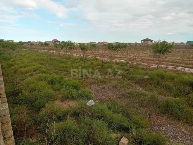 Продаётся  участок 130 сот, пос. Бузовна, photo 4 from 15