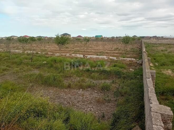 Продаётся  участок 130 сот, пос. Бузовна, photo 6 from 15