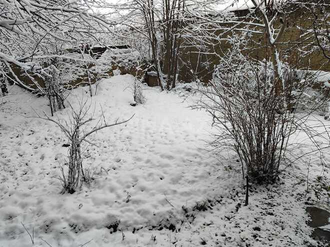 Продаётся 3-комн. дом/дача 80.1 м², photo 7 from 30