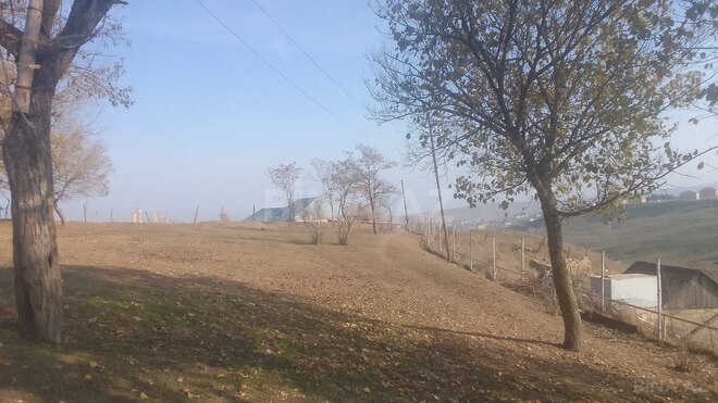 Продаётся  участок 25 сот, photo 3 from 5