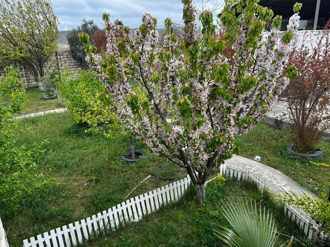 Satılır 4 otaqlı həyət evi/bağ evi 120 m², Balaxanı q., photo 5 from 31
