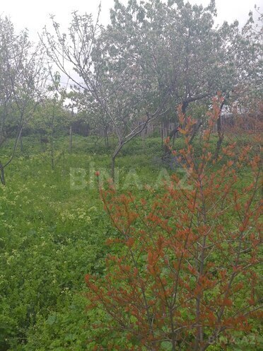 Продаётся  участок 8 сот, photo 3 from 4