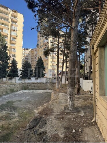 Satılır  torpaq 11 sot, photo 3 from 5