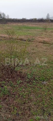 Продаётся  участок 38 сот, photo 4 from 7