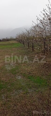 Продаётся  участок 38 сот, photo 1 from 7