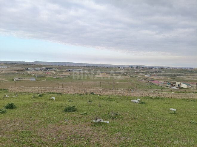 Продаётся  участок 10 сот, Абшеронcкий  р., photo 13 from 14