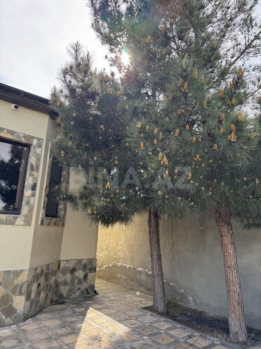 Продаётся 4-комн. дом/дача 125 м², пос. Дюбенди, photo 21 from 32