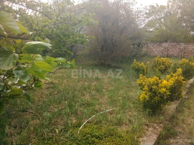 Продаётся 3-комн. дом/дача 65 м², Абшеронcкий  р., photo 3 from 15