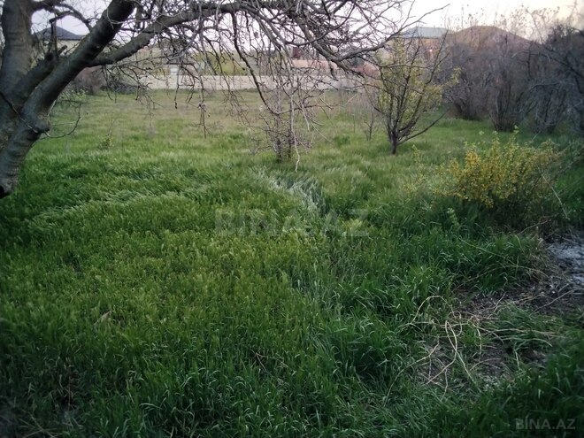 Продаётся 3-комн. дом/дача 65 м², Абшеронcкий  р., photo 1 from 15