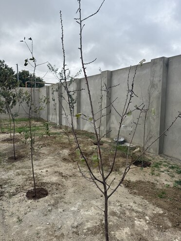 Продаётся 6-комн. дом/дача 265 м², пос. Маштаги, photo 12 from 20