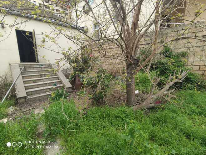 Продаётся 3-комн. дом/дача 100 м², photo 4 from 11