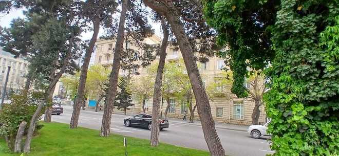 Продаётся 3-комн. вторичка 100 м², м. Элмляр Академиясы, photo 4 from 26