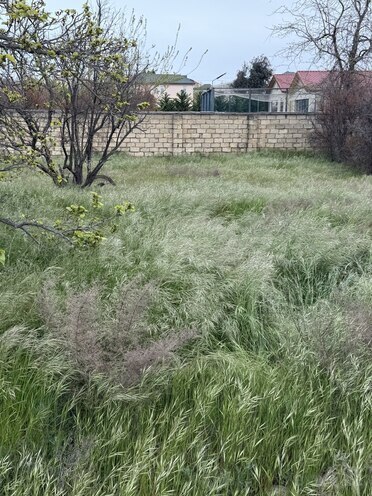 Продаётся  участок 4 сот, пос. Горадил, photo 6 from 8