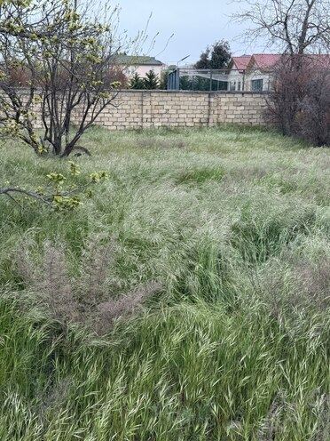 Продаётся  участок 4 сот, пос. Горадил, photo 3 from 8