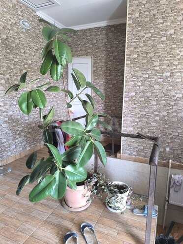 Продаётся 4-комн. дом/дача 300 м², пос. Новханы, photo 22 from 24