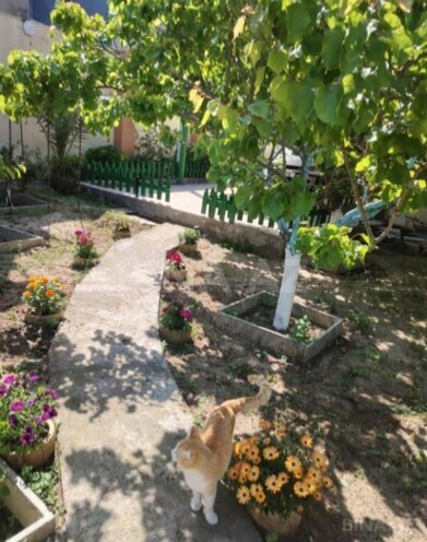 Продаётся 4-комн. дом/дача 200 м², пос. Бузовна, photo 1 from 9
