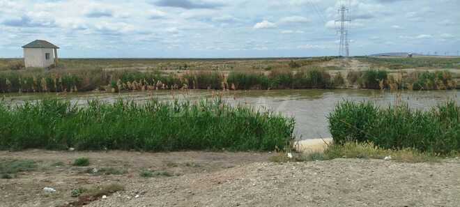 Продаётся  участок 2 000 сот, пос. Аляты, photo 5 from 20