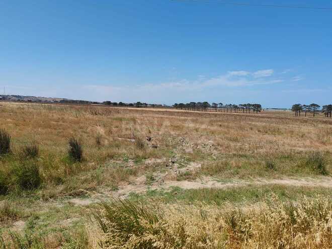 Satılır  torpaq 370 sot, Abşeron r., photo 8 from 14